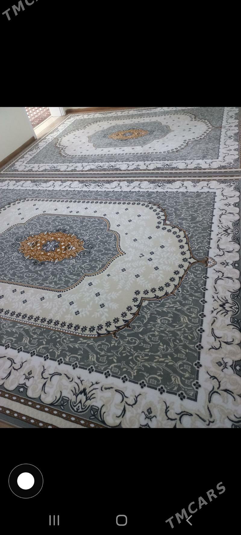 Haly - Arkadag - img 1