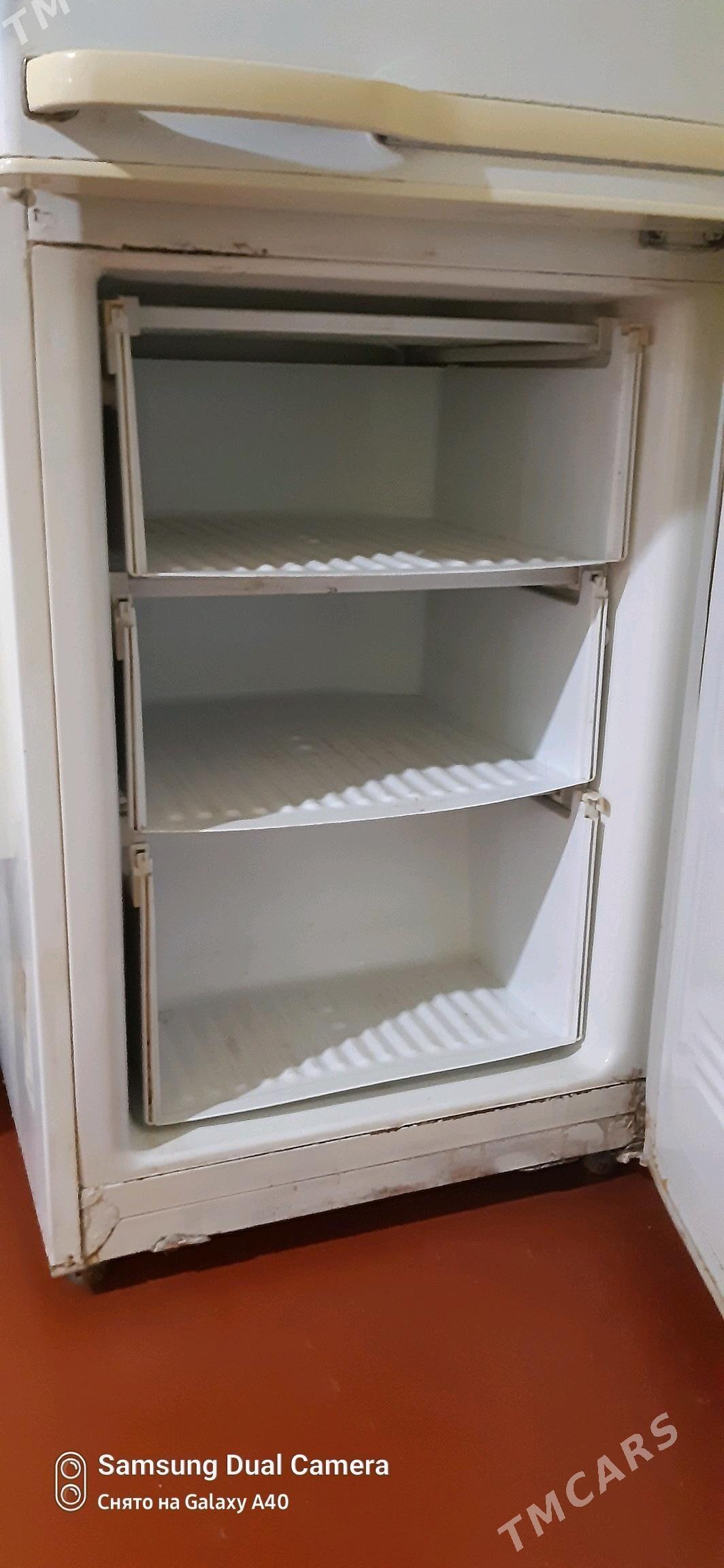 holodilnik - Garagum etraby - img 3