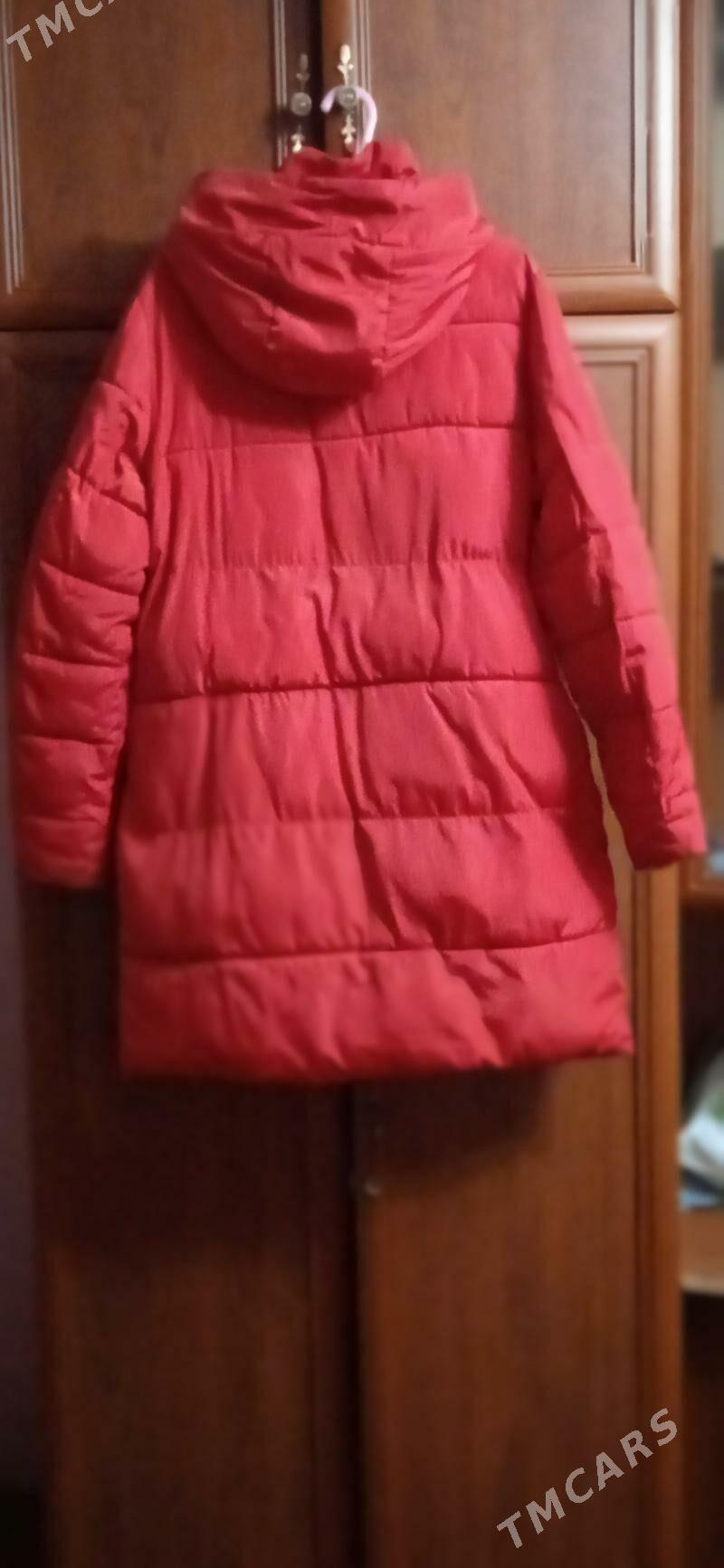 Kurtga - Daşoguz - img 1