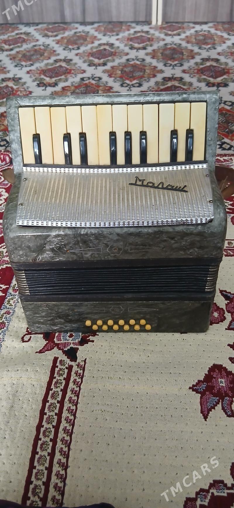 саз гуралы - 30 mkr - img 1
