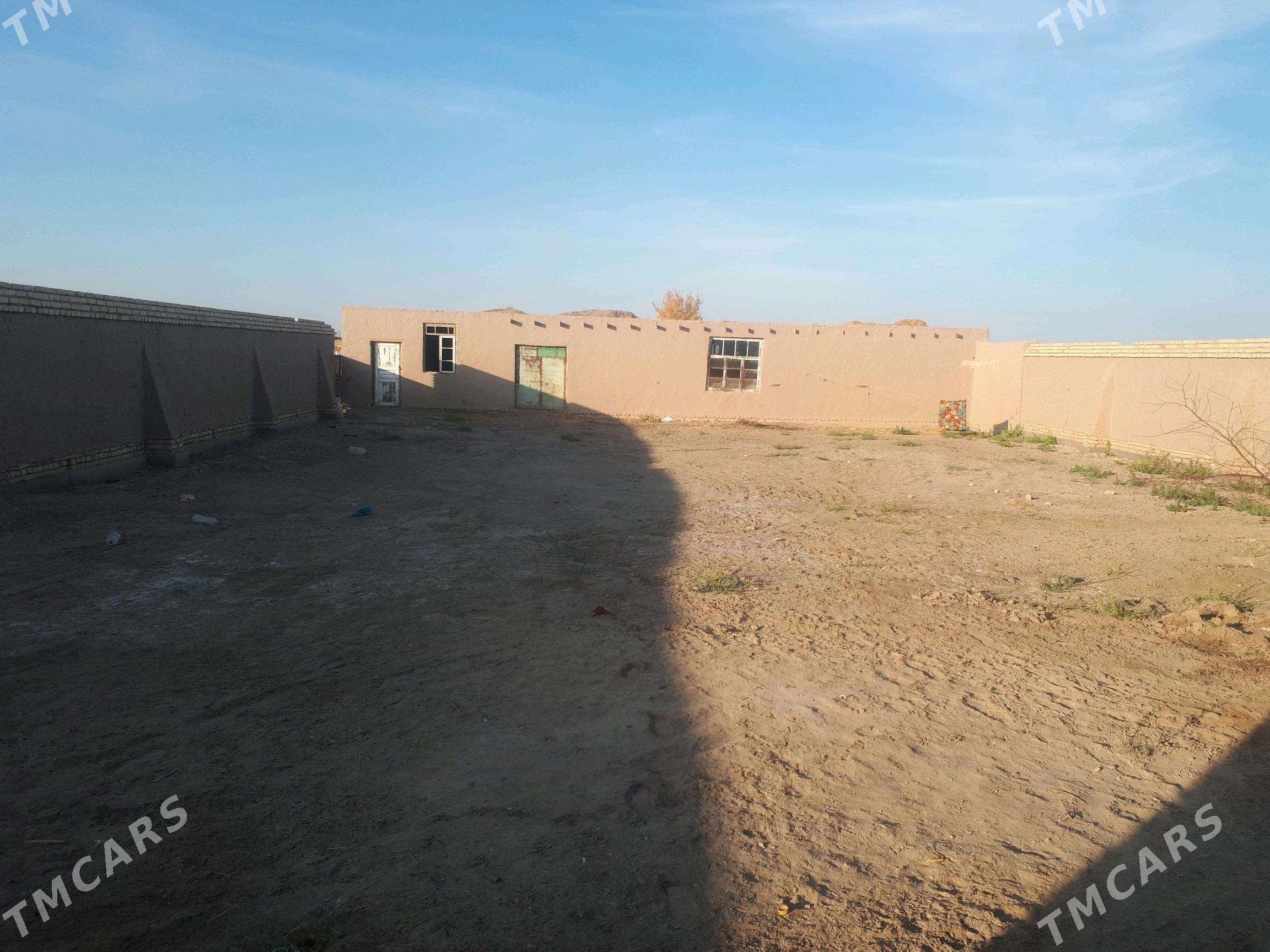 Mellek jay  4 pasilka - Шабатский этрап - img 4