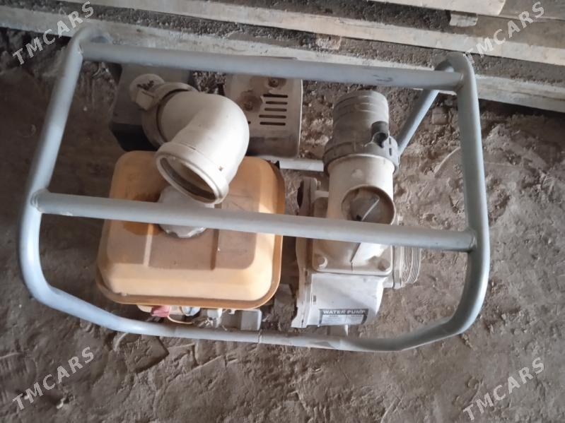 ponpa - Daşoguz - img 2