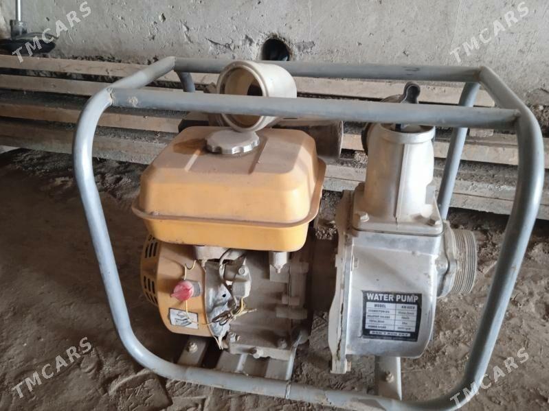 ponpa - Daşoguz - img 4