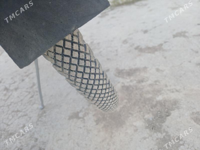 Tigir - Görogly (Tagta) - img 2