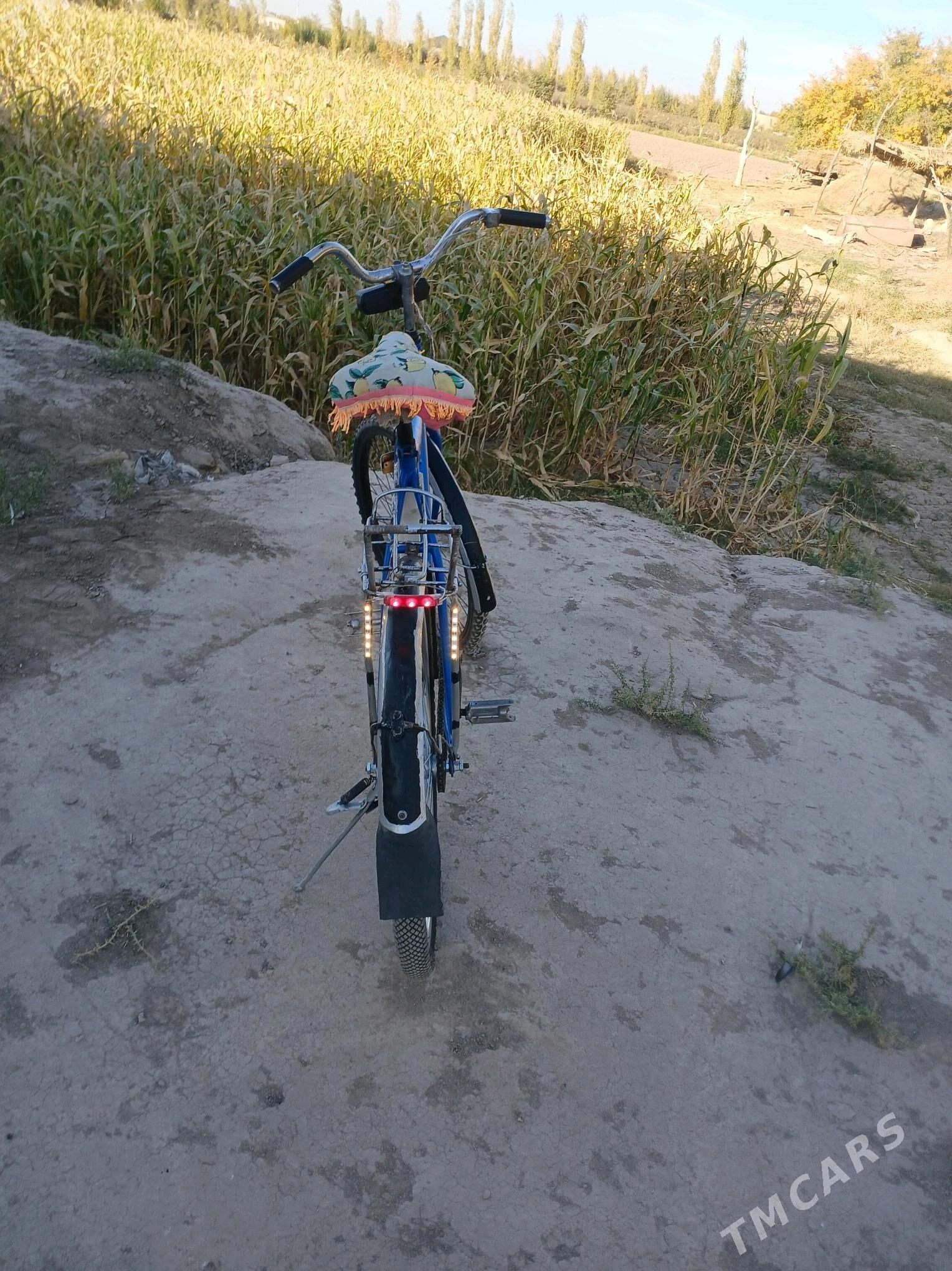 Tigir - Görogly (Tagta) - img 5