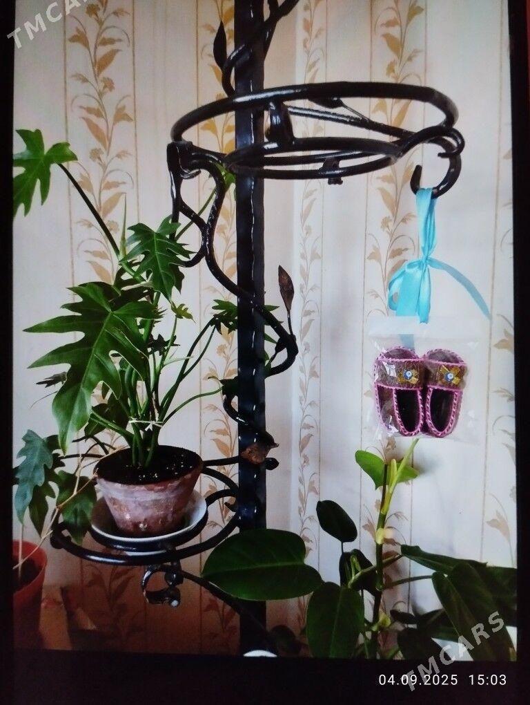 Цветочница - Aşgabat - img 2