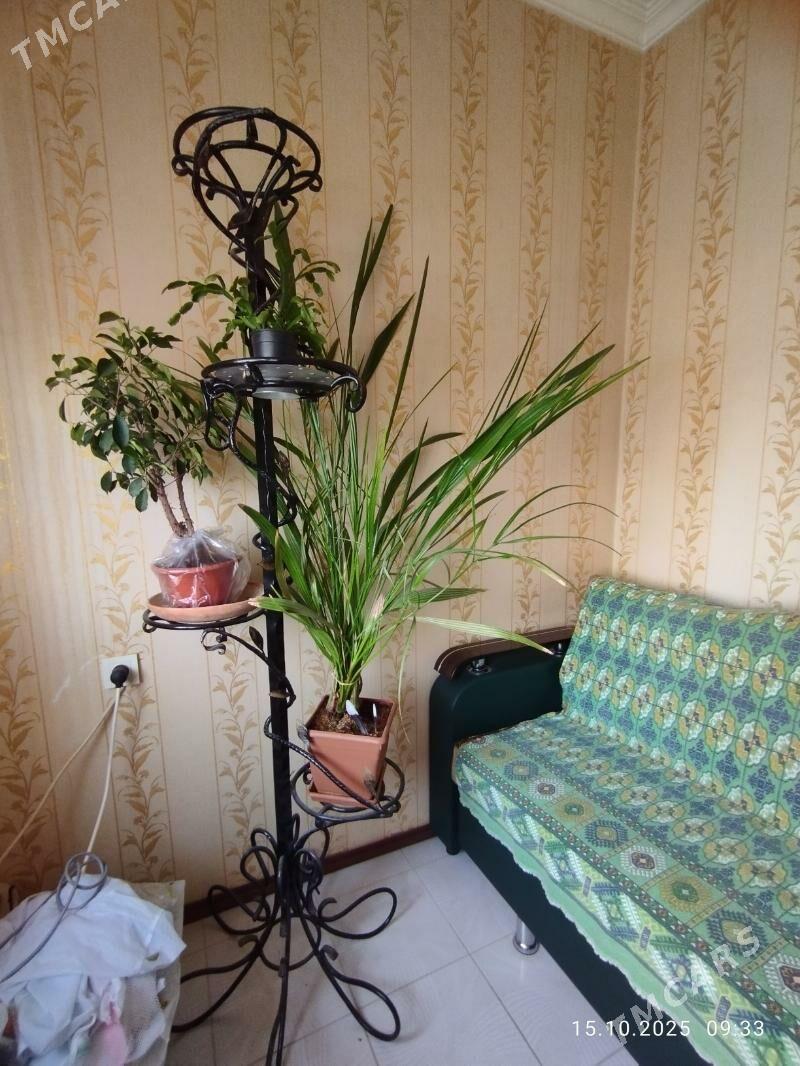 Цветочница - Aşgabat - img 4