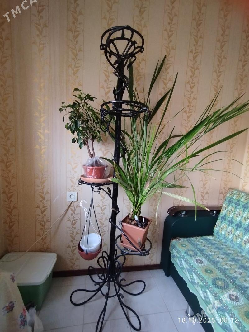 Цветочница - Aşgabat - img 3