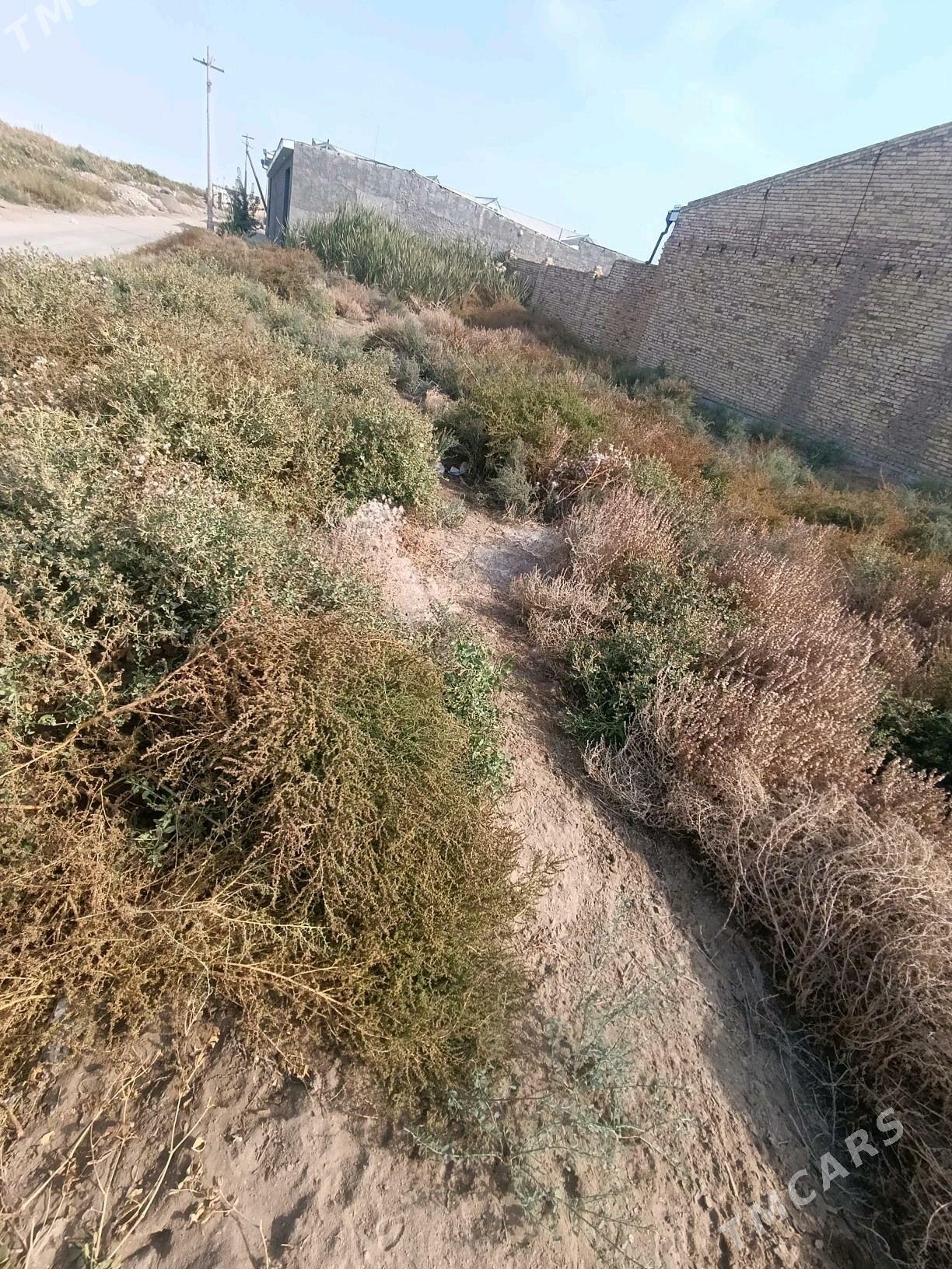 Земля Дача - Türkmenabat - img 7