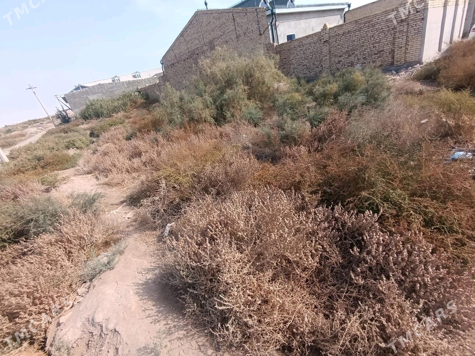 Земля Дача - Türkmenabat - img 8