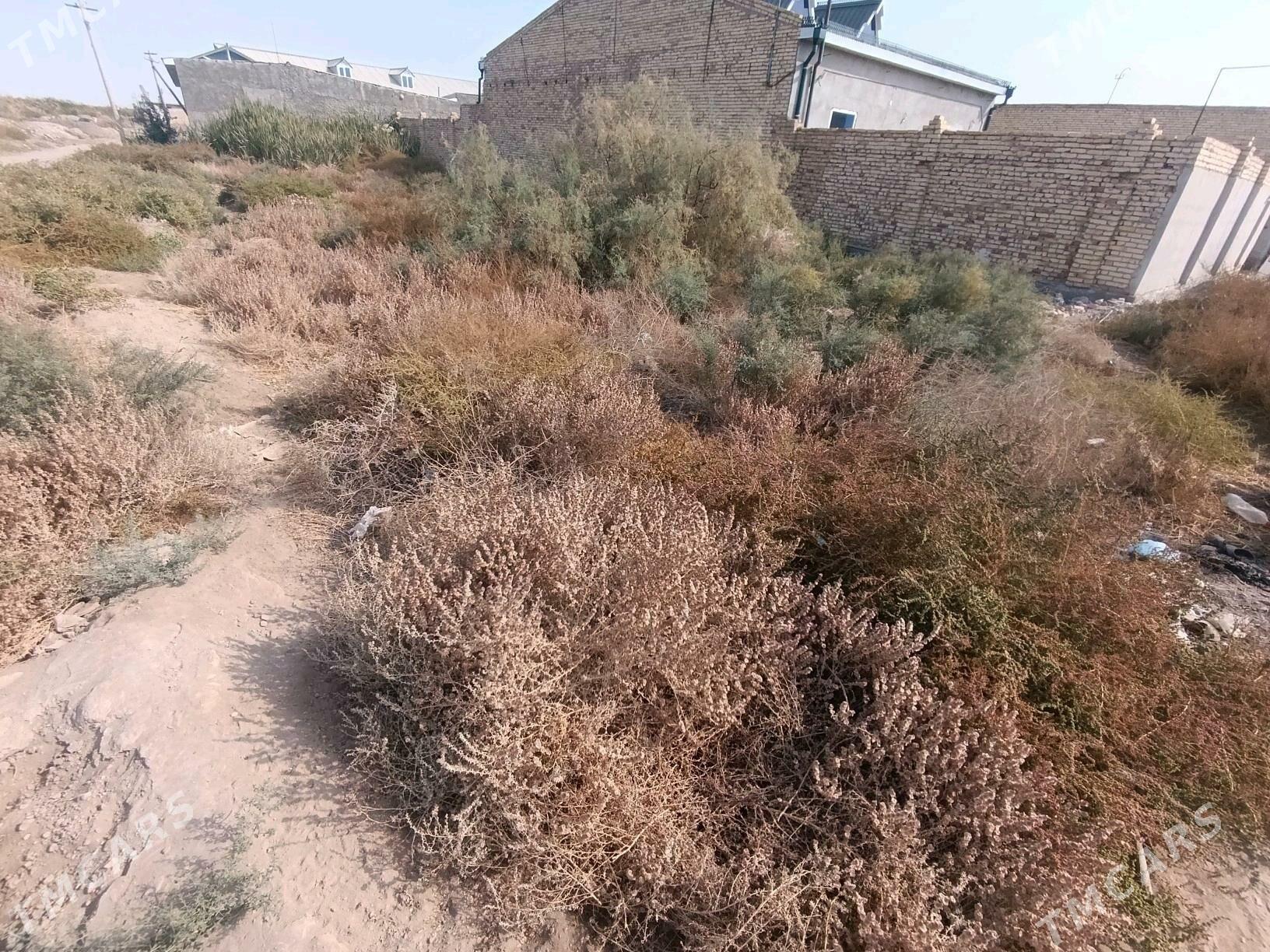 Земля Дача - Türkmenabat - img 6