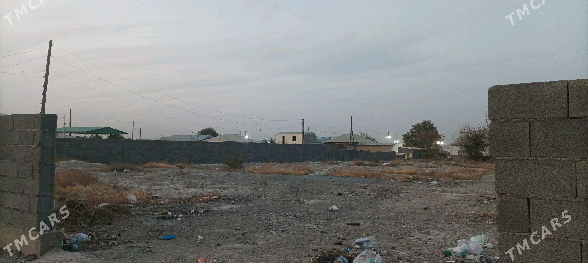 Satlyk - Бахарден - img 2