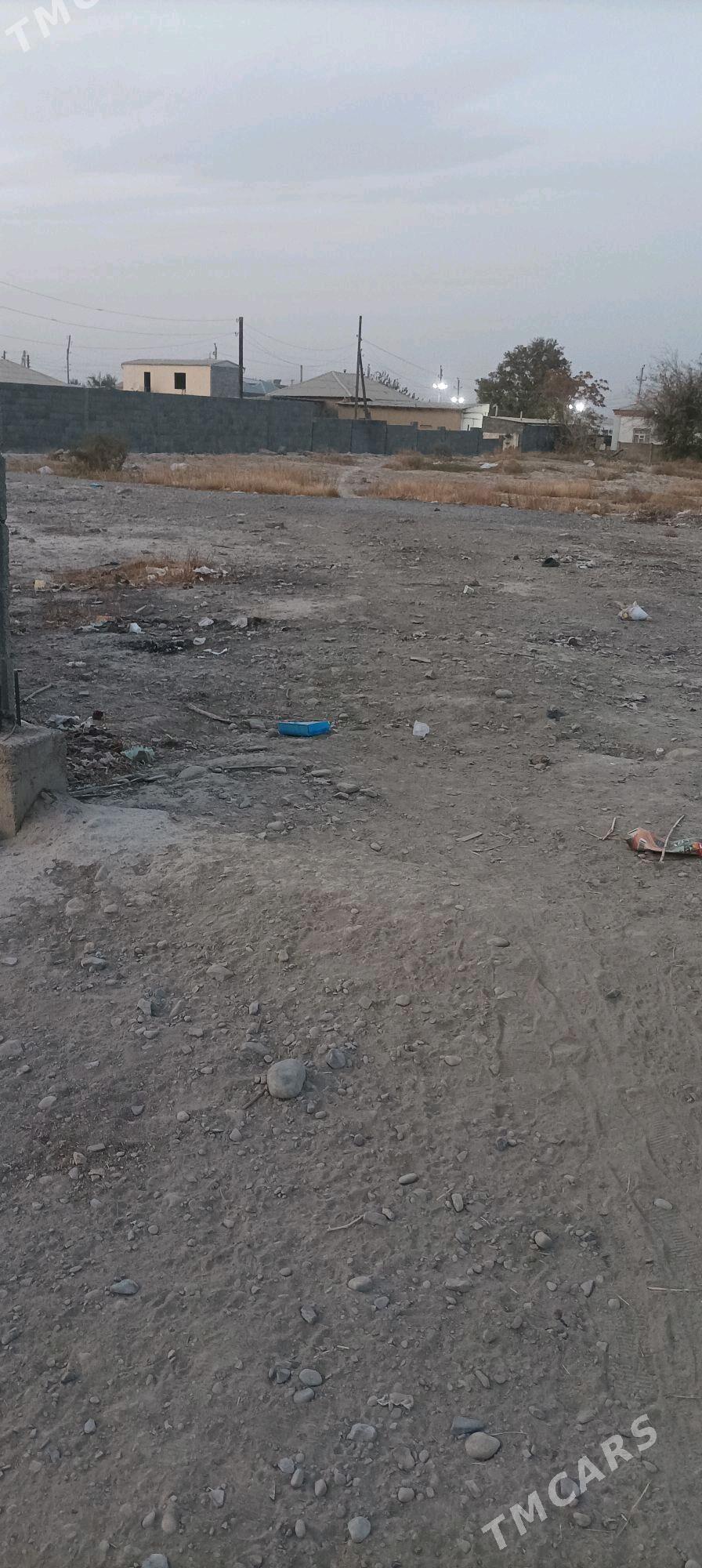 Satlyk - Бахарден - img 3