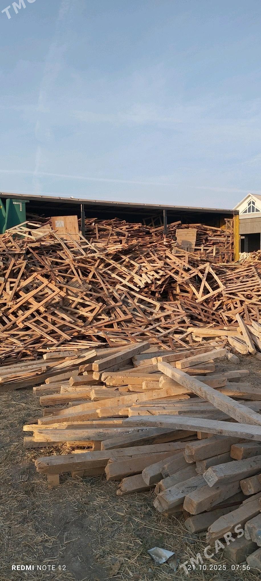 agac - Murgap - img 5