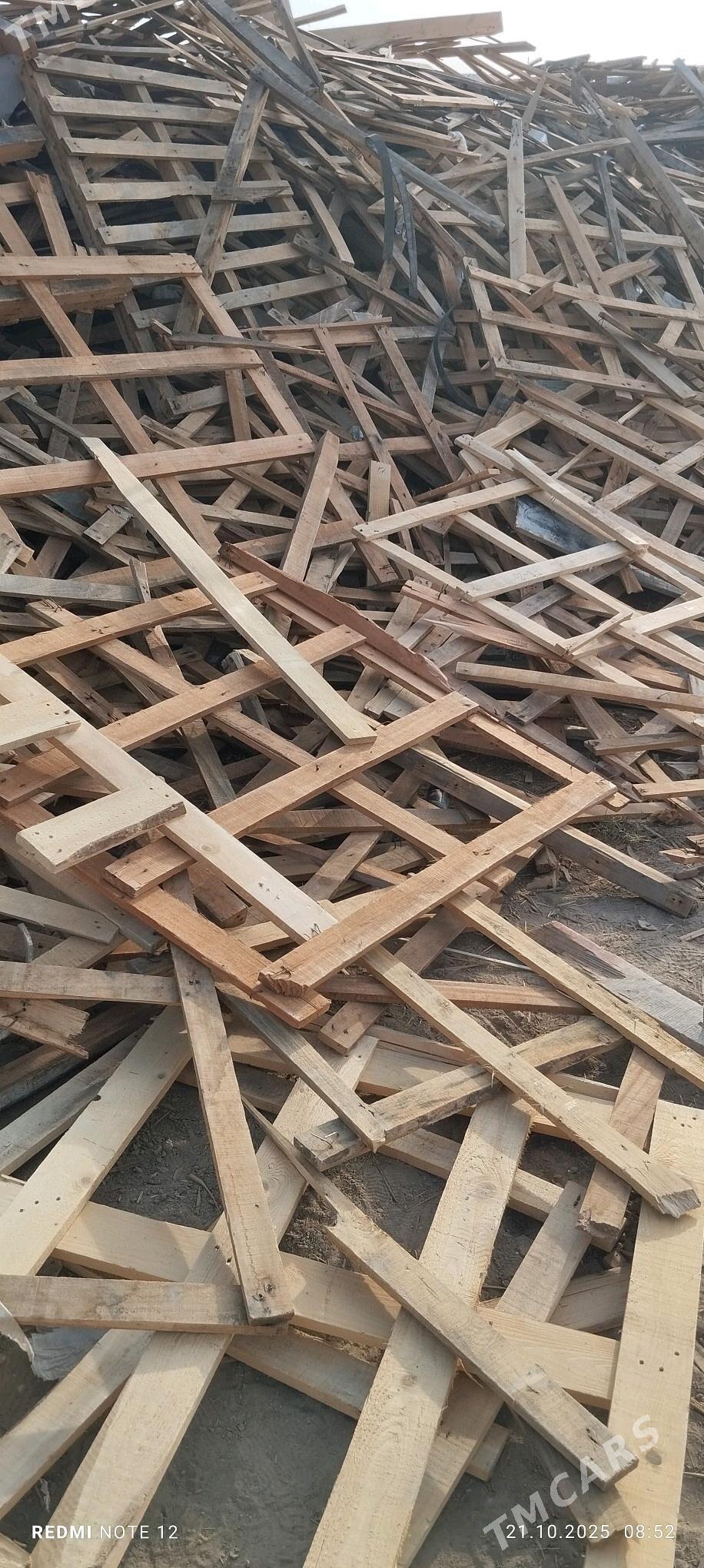 agac - Murgap - img 3