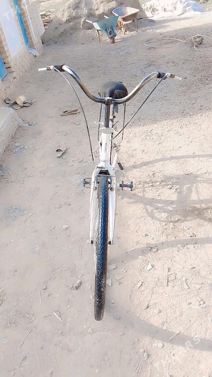 welosepet - Мары - img 3