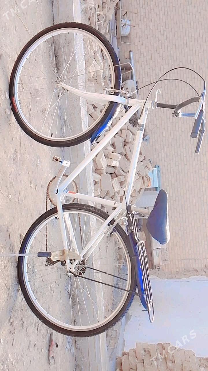 welosepet - Мары - img 2