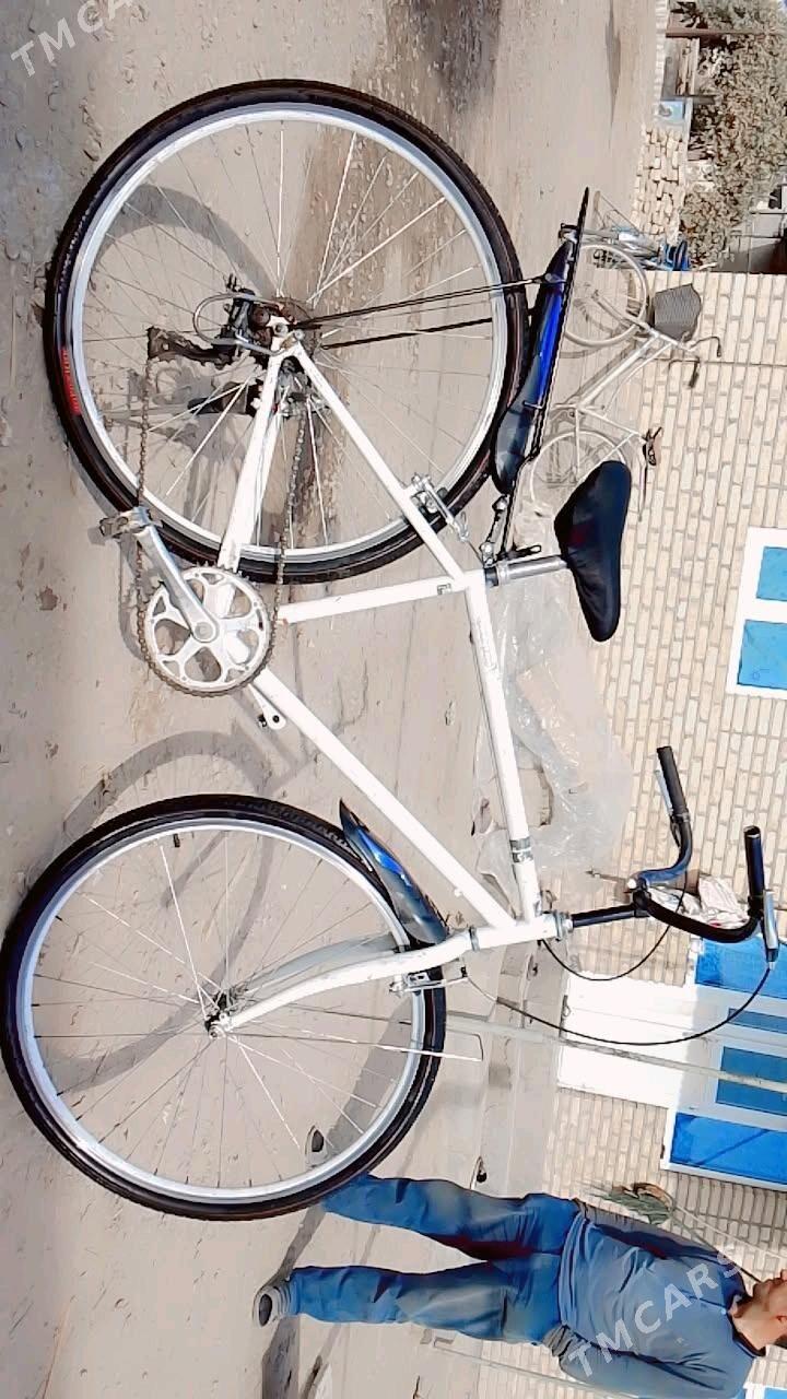 welosepet - Мары - img 4