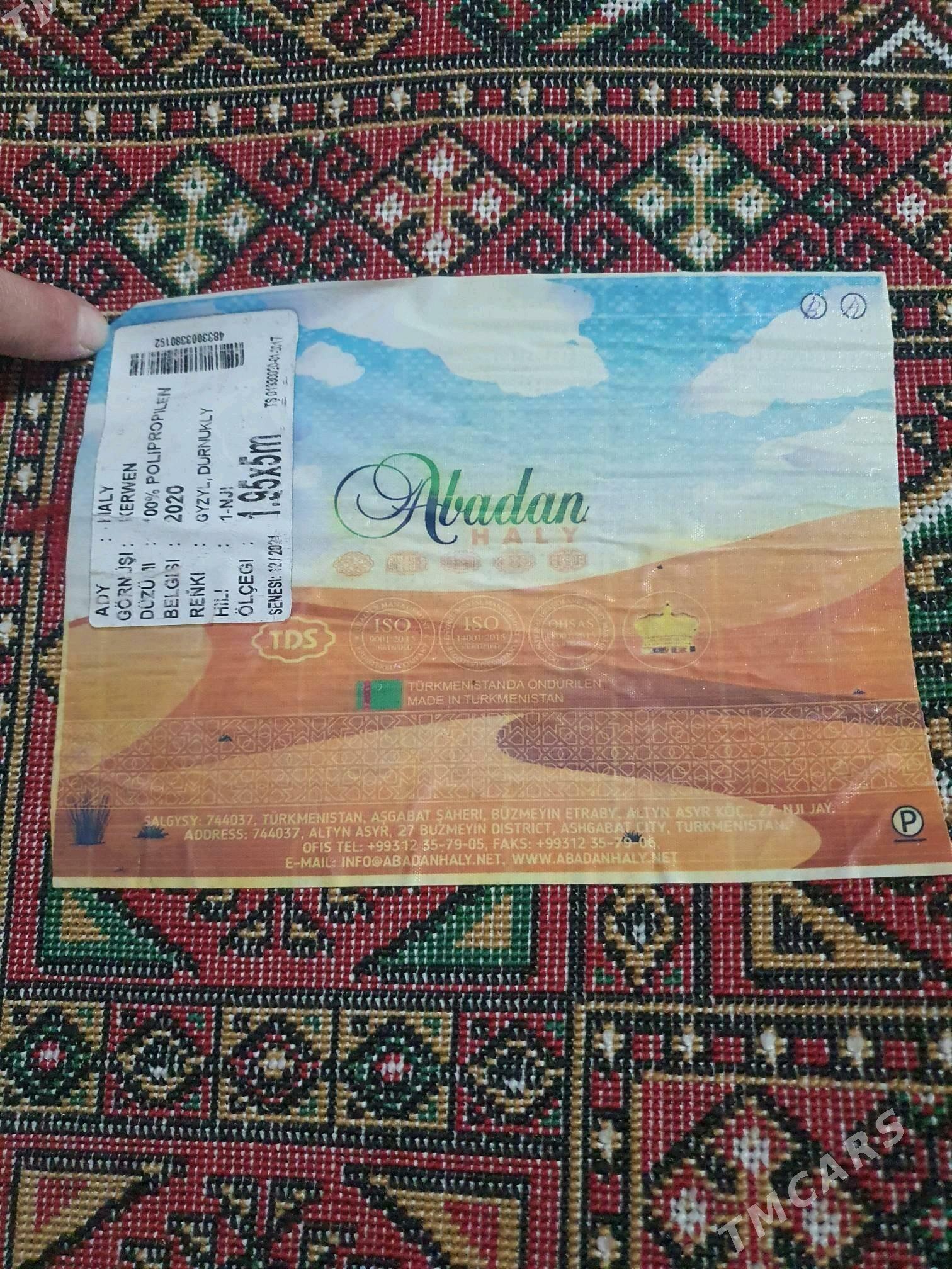 haly - Hitrowka - img 2