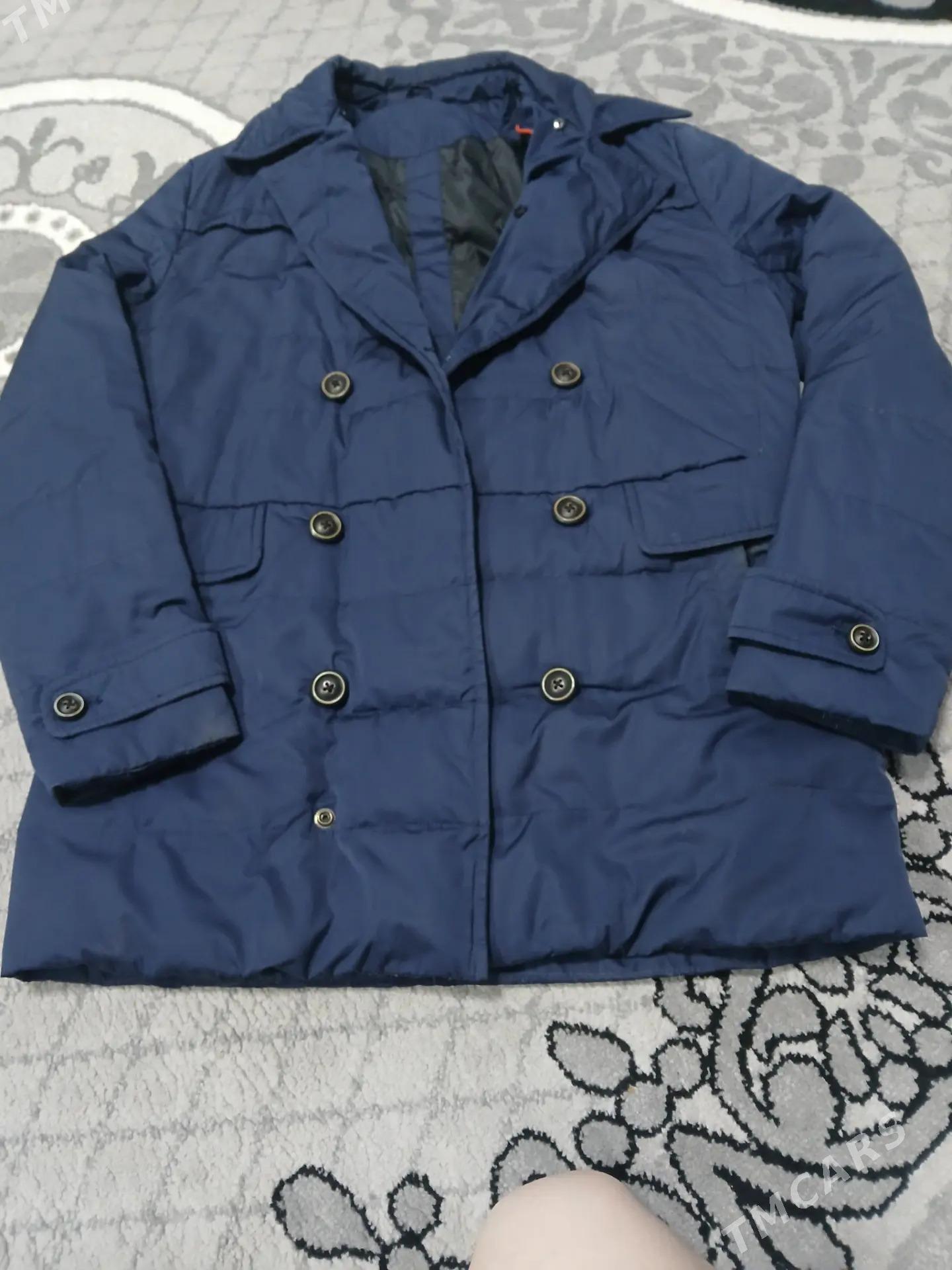 2 sany kurtga oglanlara - Daşoguz - img 1