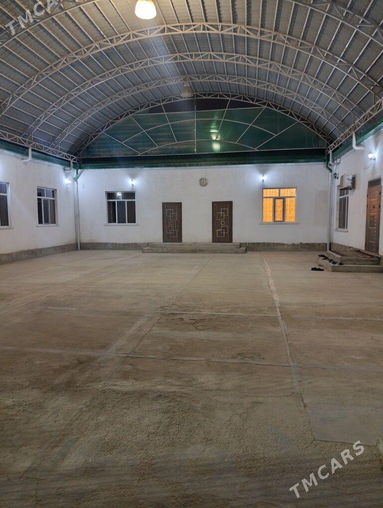 Satlyk Kone Gami Pylan jay - Ak bugdaý etraby - img 1