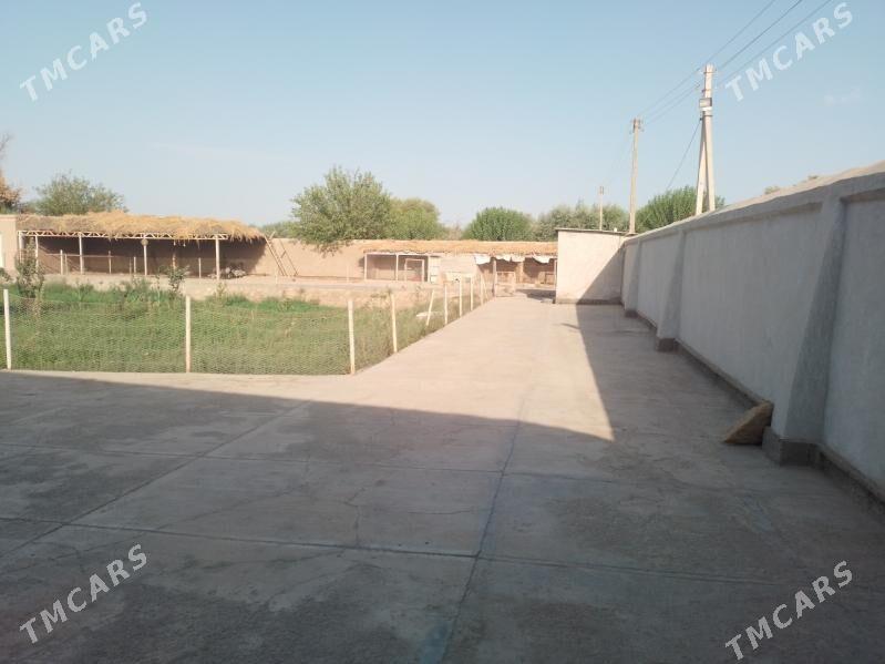 яшайыш жайы - Türkmenbaşy etr. - img 1