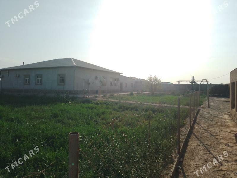 яшайыш жайы - Türkmenbaşy etr. - img 6