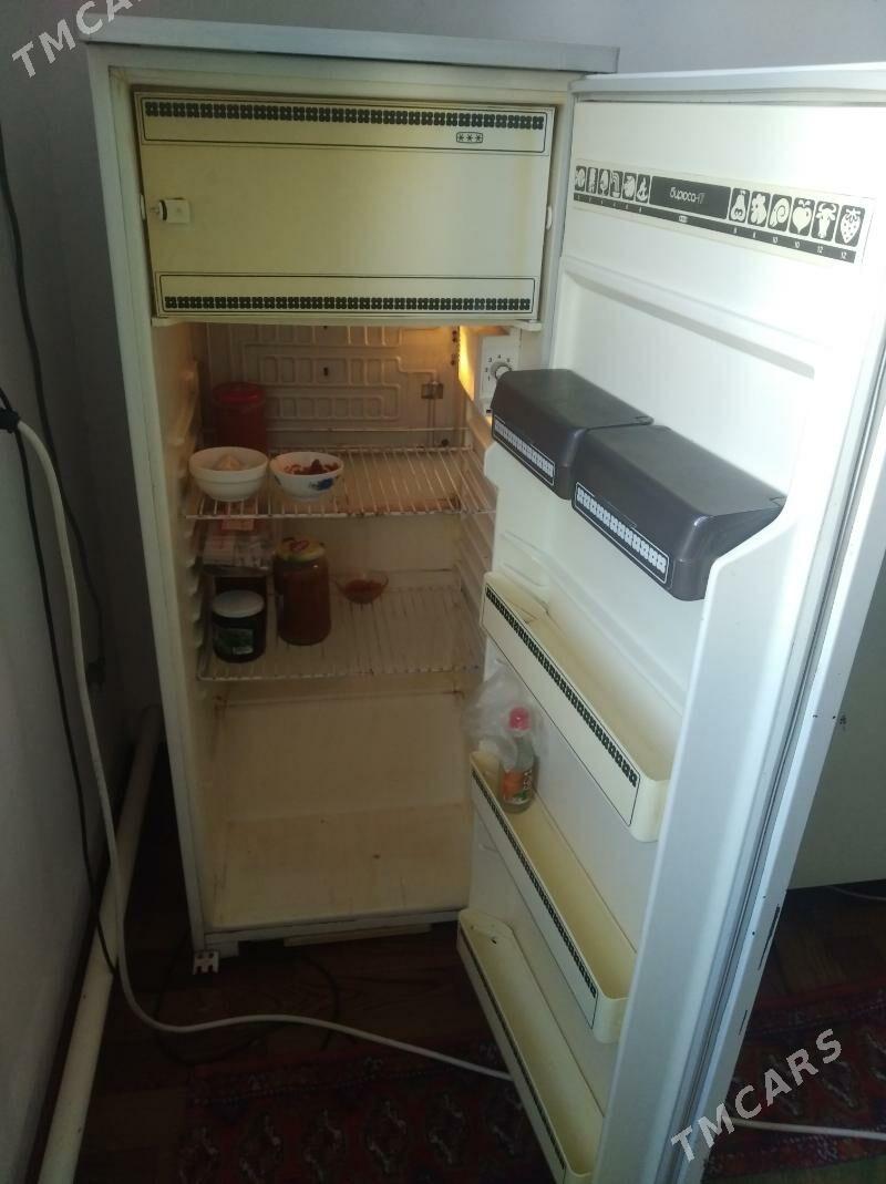 HOLODINIK ORSUNKY - Büzmeýin - img 2