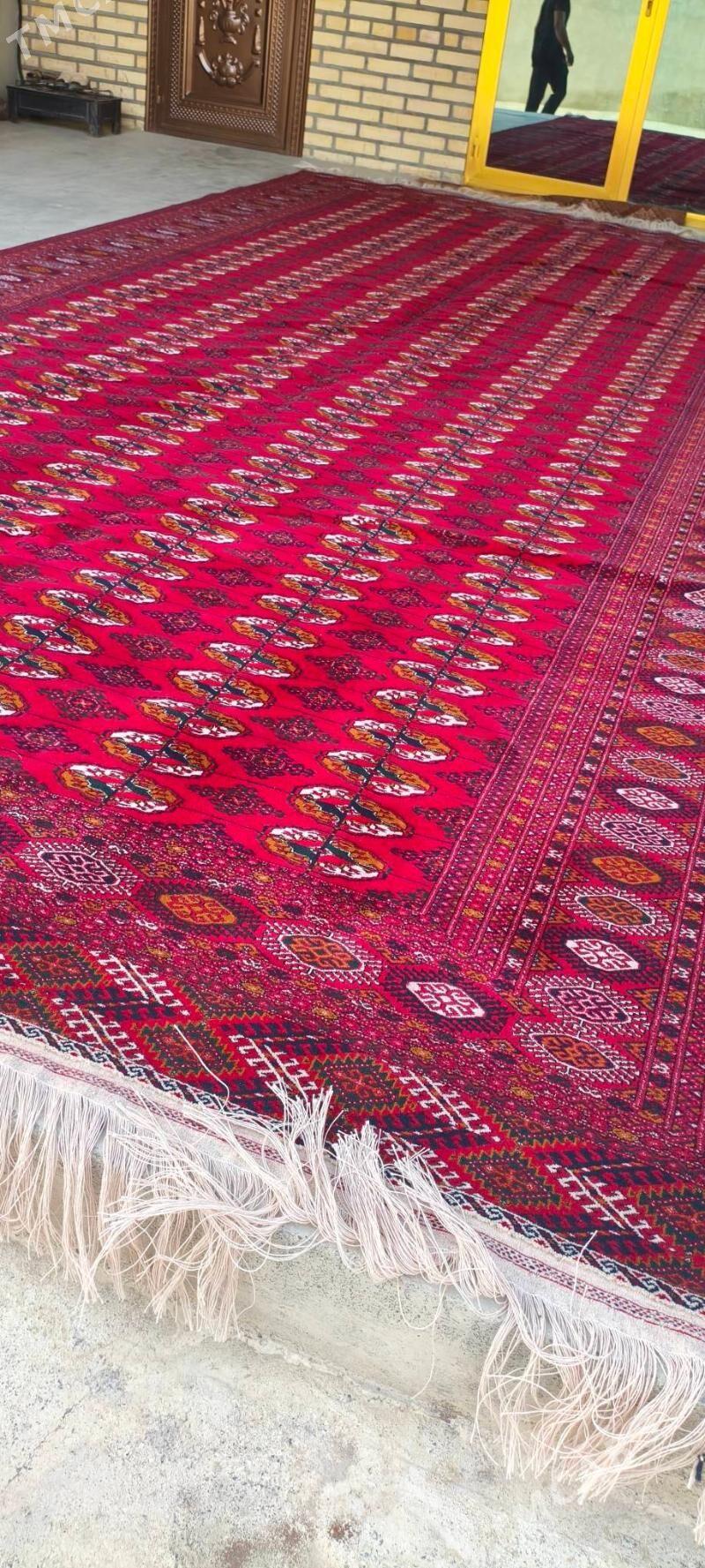 el haly 3/6 - Bäherden - img 1