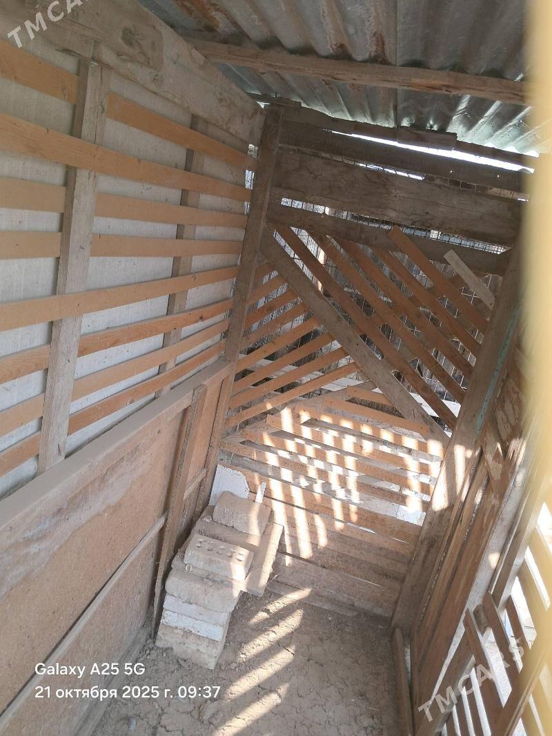 ketek - Aşgabat - img 3