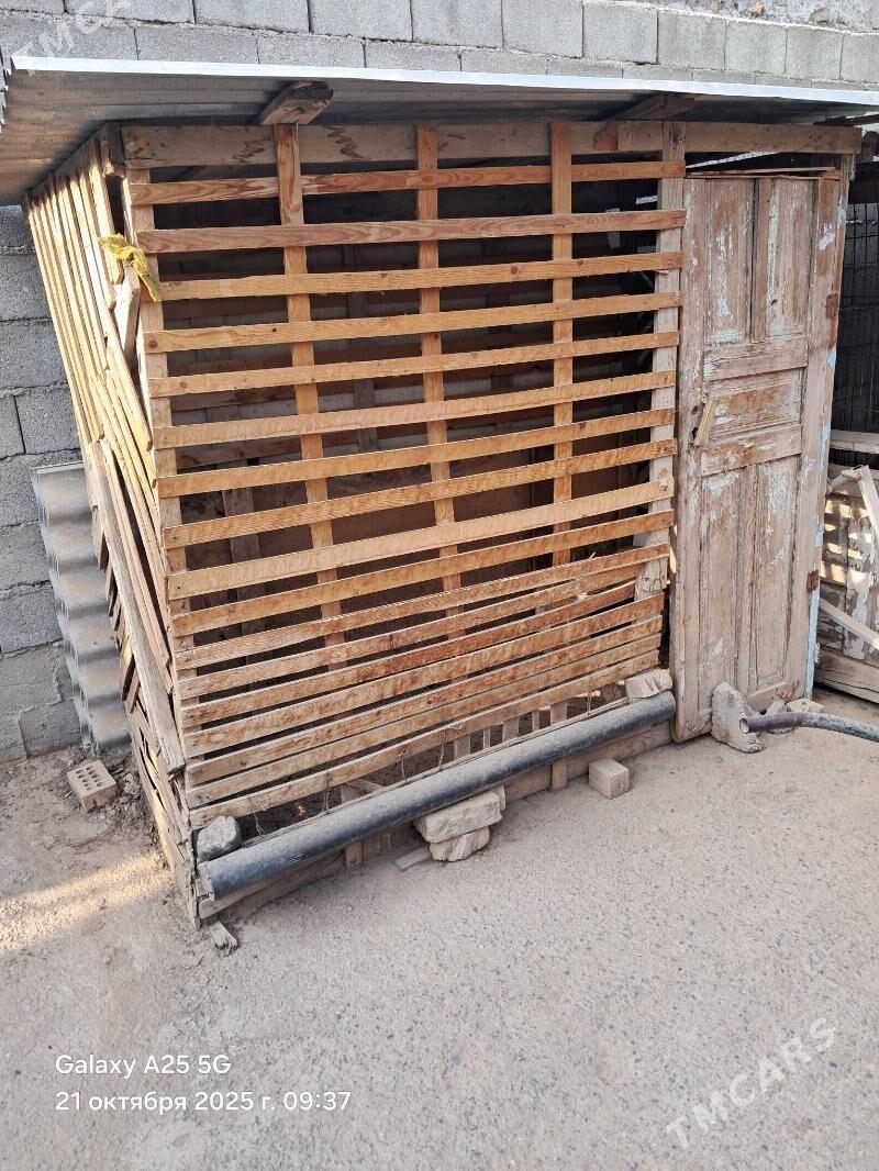 ketek - Aşgabat - img 2