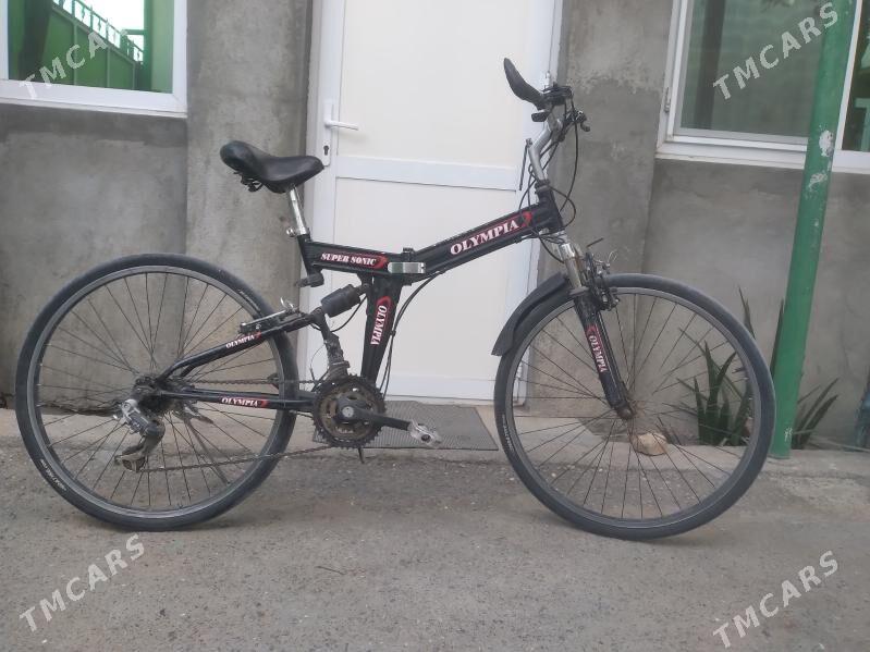 tigir gyssagly welosepid 26lyk - Bedew - img 2