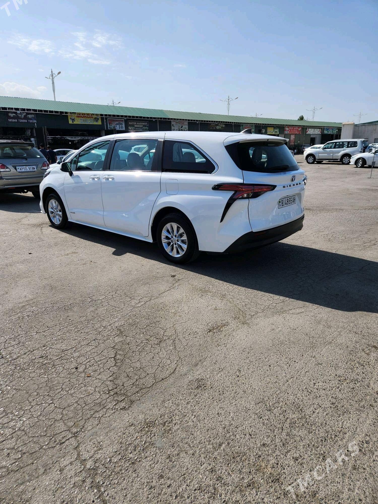 Toyota Sienna 2021 - 500 000 TMT - Bedew - img 4