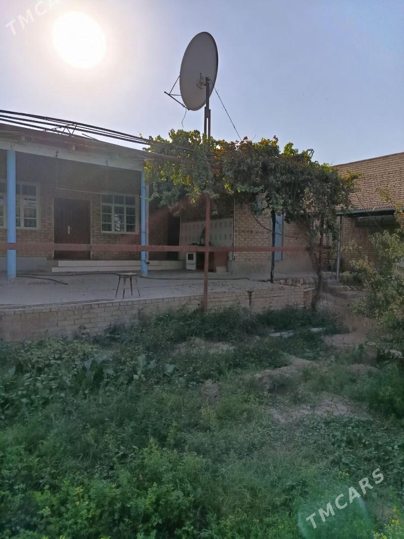 Satlyk jaý - Керки - img 4