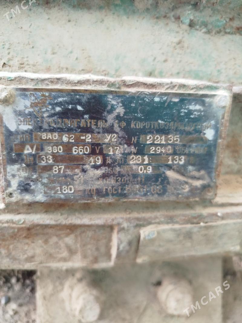 Generator - Sakarçäge - img 1