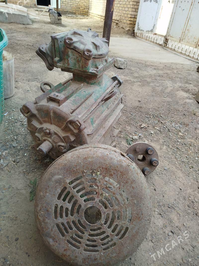 Generator - Sakarçäge - img 4