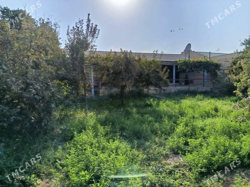 Satlyk jaý - Керки - img 3