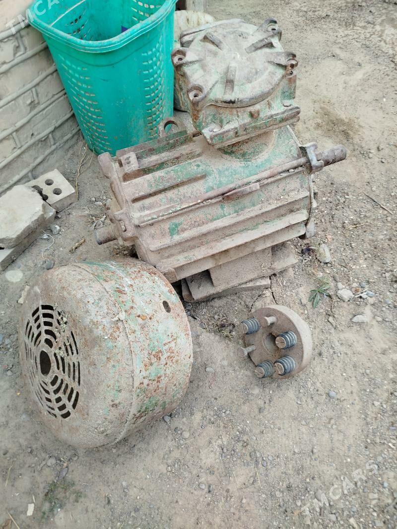 Generator - Sakarçäge - img 5