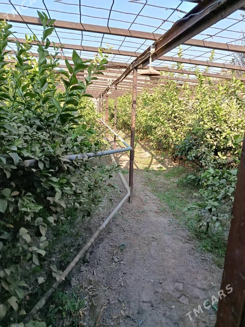 Satlyk jaý - Керки - img 10