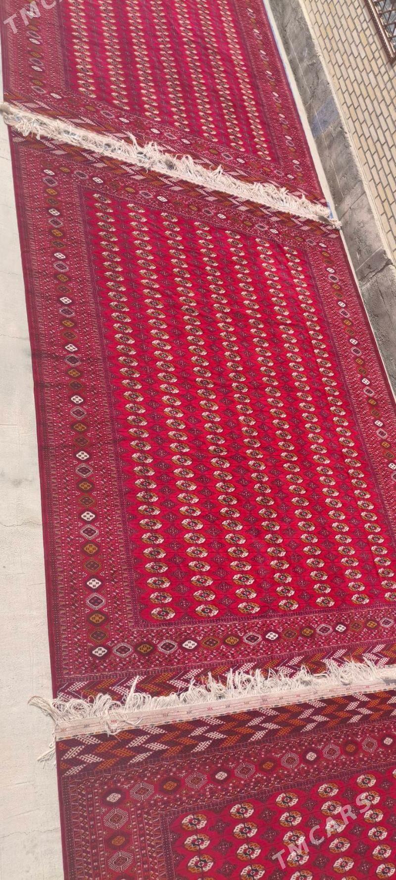 el haly 4/5 - Bäherden - img 4