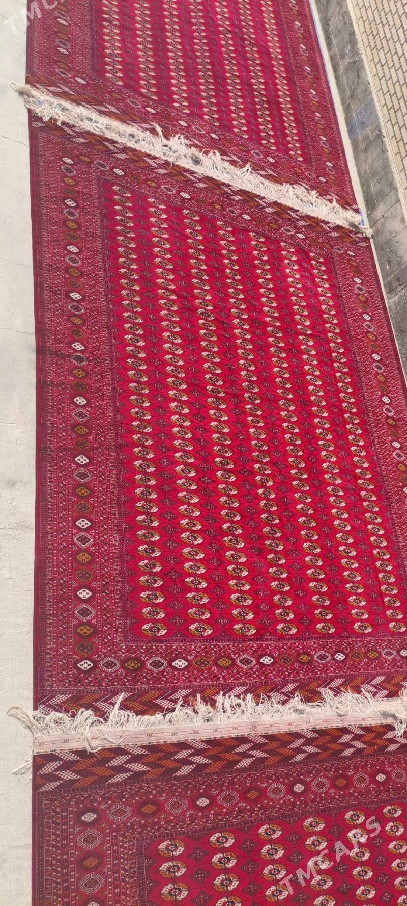 el haly 4/5 - Bäherden - img 2