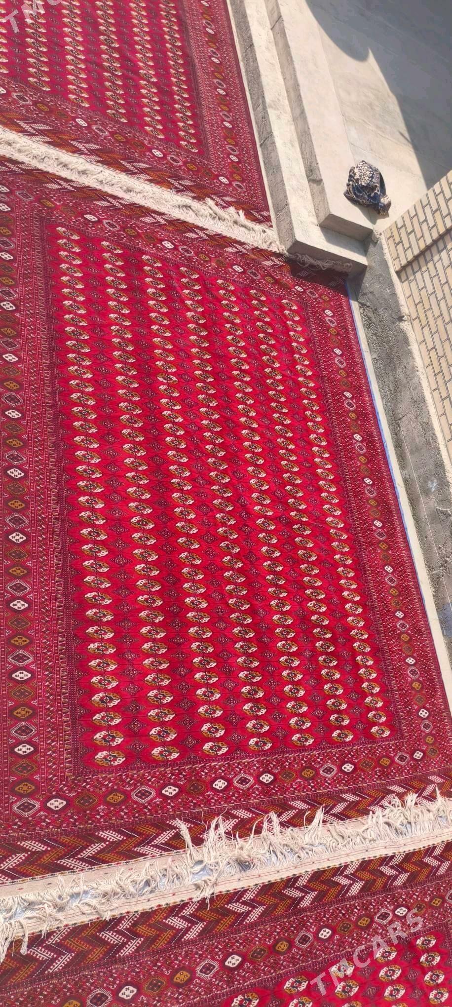 el haly 4/5 - Bäherden - img 3