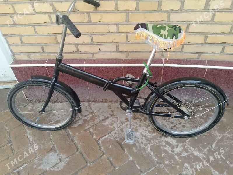 kama tigir - Kerki - img 5