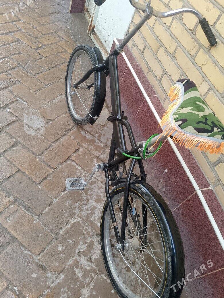 kama tigir - Kerki - img 3