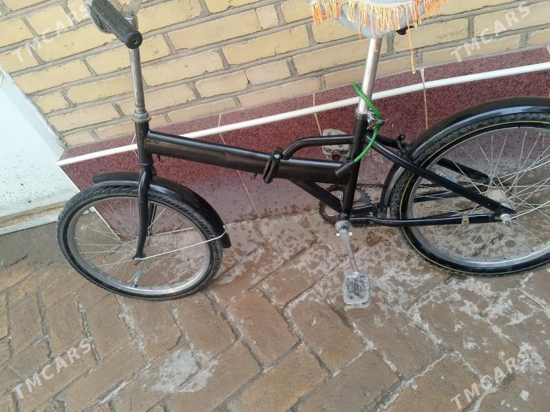 kama tigir - Kerki - img 4