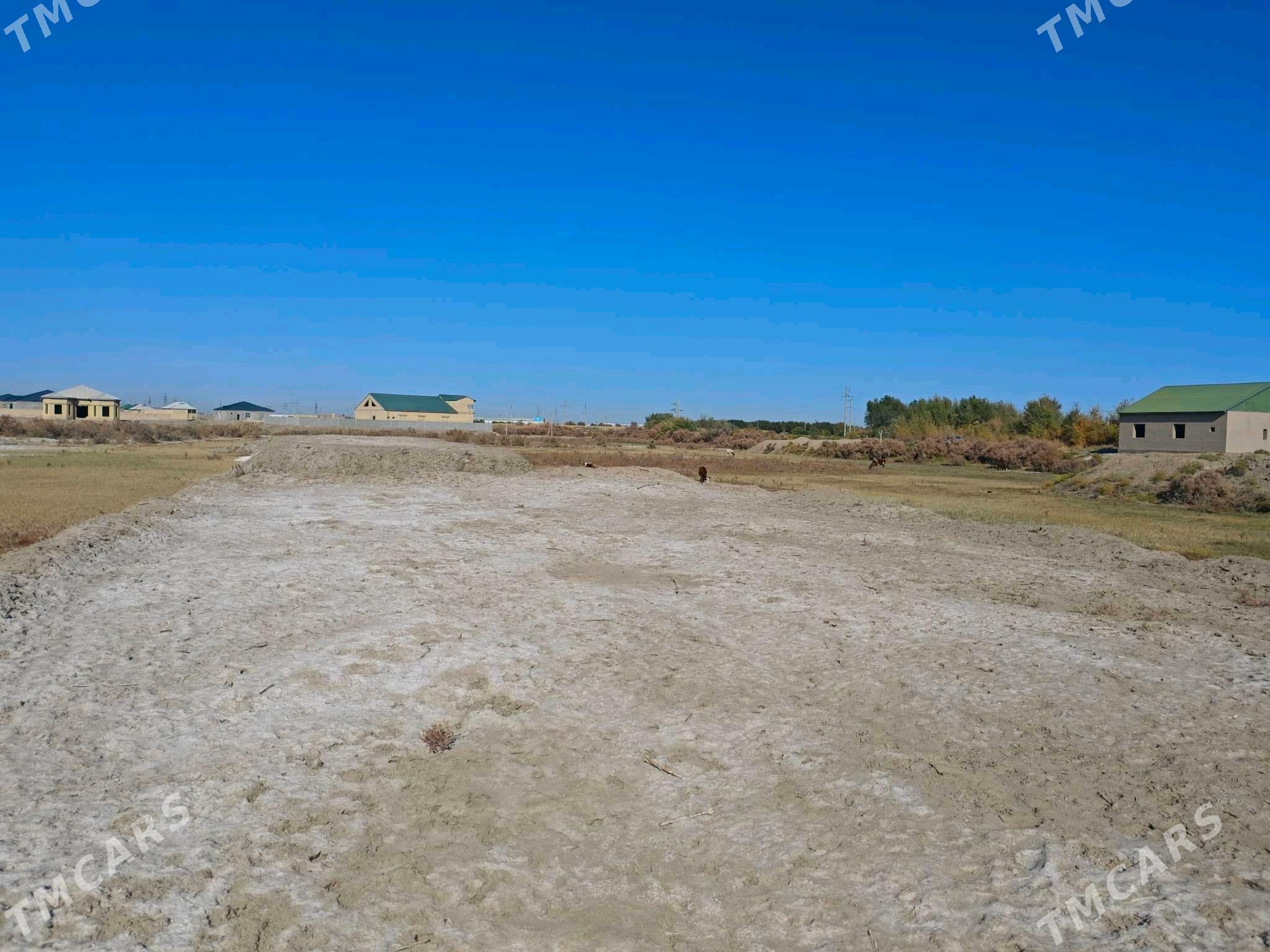 Köneürgenç Mellek Ýer - Кёнеургенч - img 2