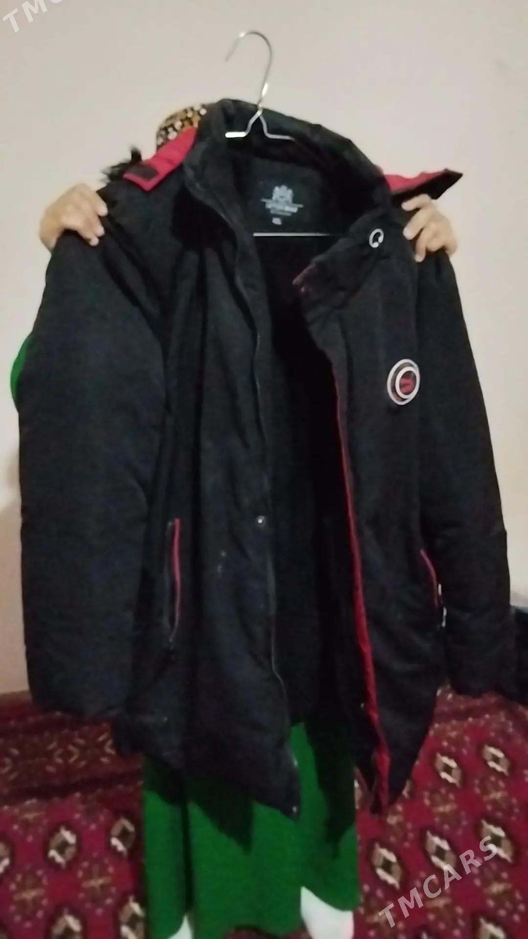 kurtga - Daşoguz - img 3