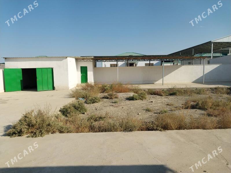 Elitke jaÿ Bãherden - Bäherden - img 3