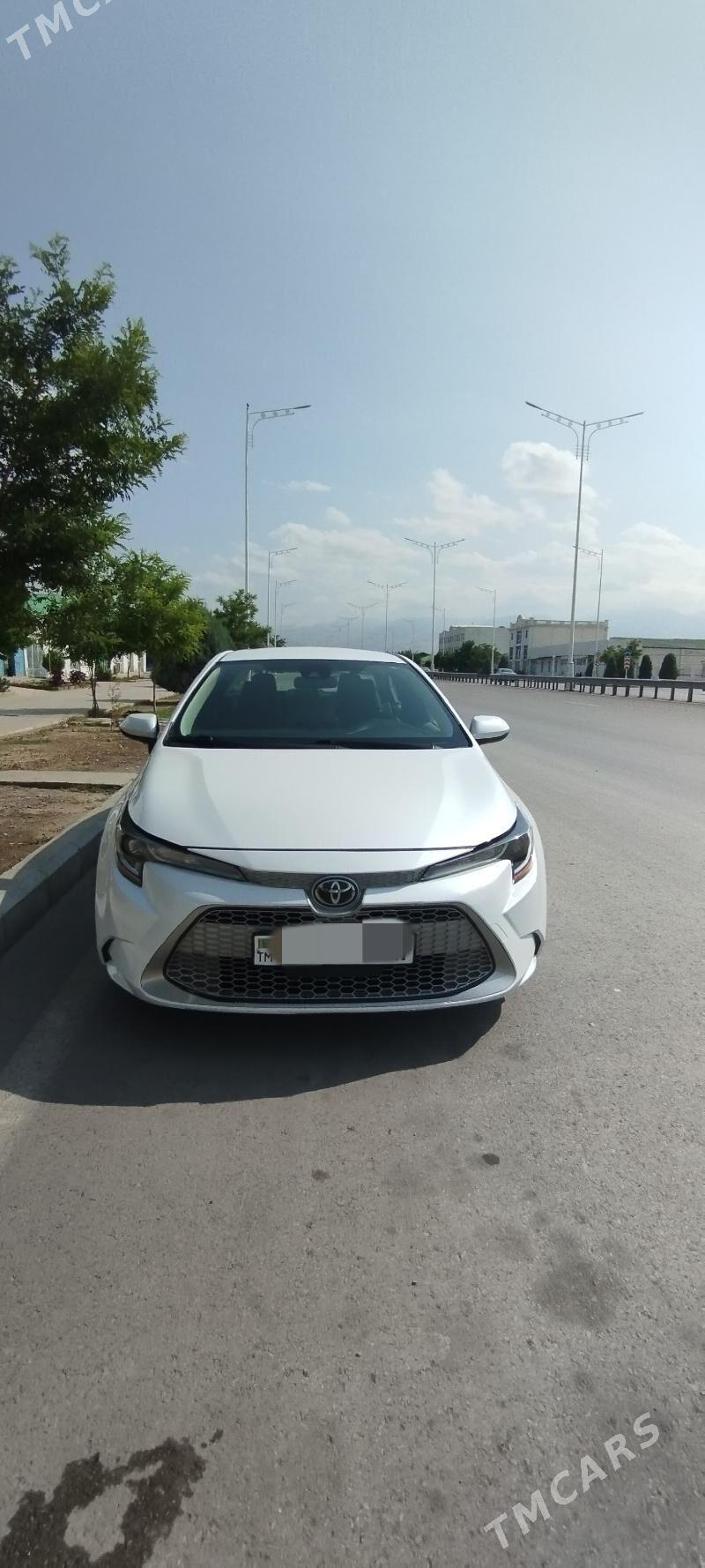 Toyota Corolla 2021 - 250 000 TMT - Änew - img 4