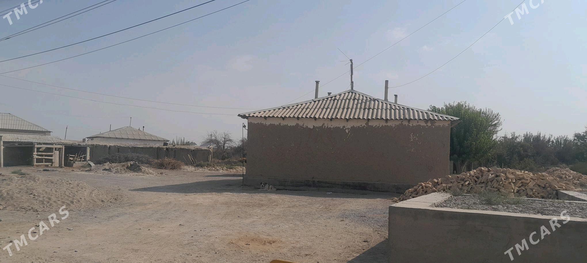 satlyk jaÿ - Бахарден - img 1